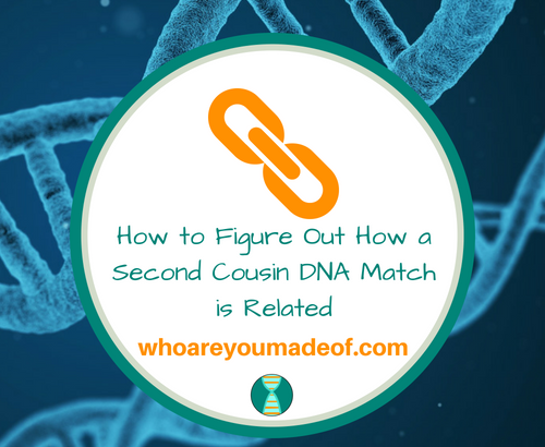 How to Figure Out How a Second Cousin DNA Match is Related