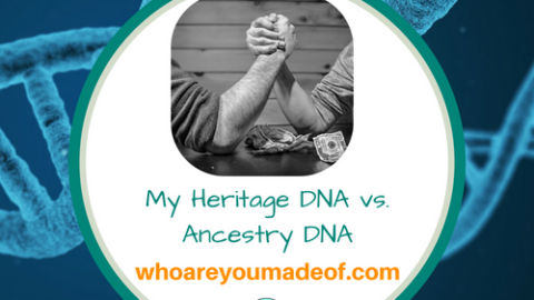 Genetic Groups on MyHeritage Explained - Who are You Made Of?