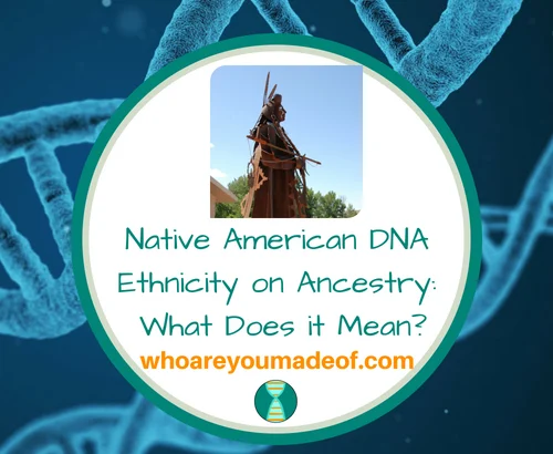 Native American DNA Ethnicity on Ancestry_ What Does it Mean_