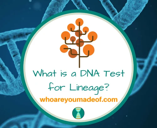 What is a DNA Test for Lineage_