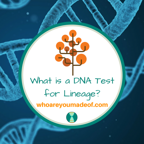 What is a DNA Test for Lineage_