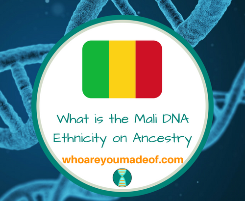 What is the Mali DNA Ethnicity on Ancestry