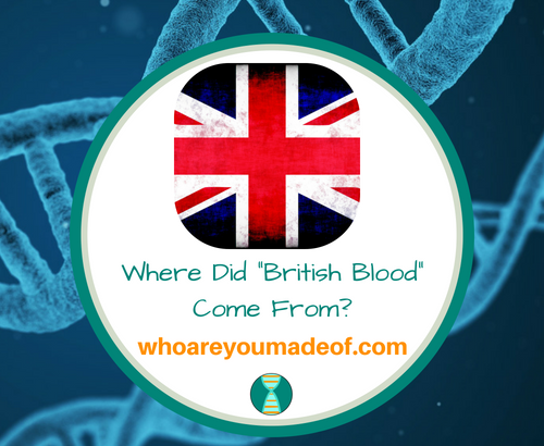 Where did British Blood come from?