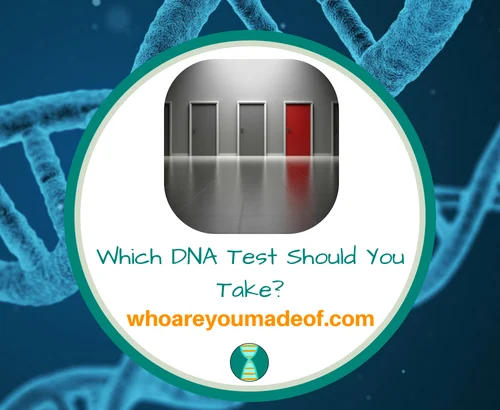 Which DNA Test Should You Take_