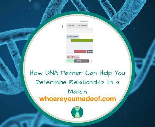 How DNA Painter Can Help You Determine Relationship to a Match