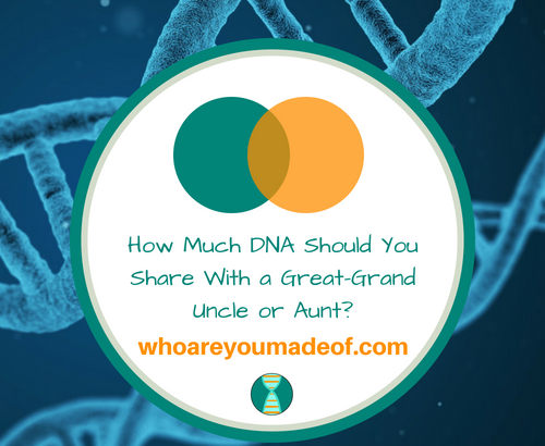 How Much DNA Should You Share With a Great-Grand Uncle or Aunt_