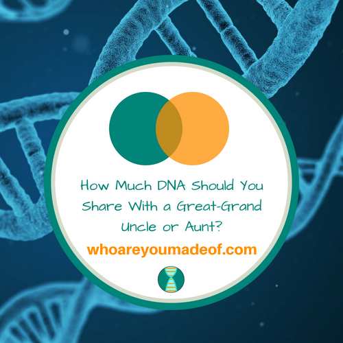 How Much DNA Should You Share With a Great-Grand Uncle or Aunt_
