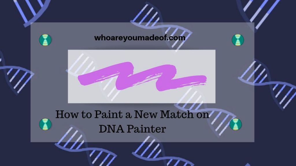 How to Paint a New Match on DNA Painter