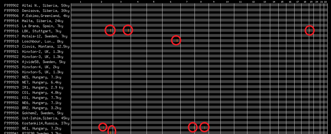 Legitimate DNA segment matches on archaic kits gedmatch