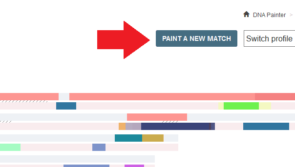 How to paint a new DNA match
