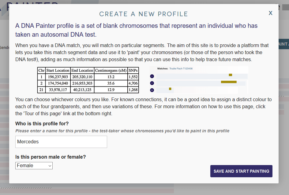 What information is required to create a new profile on DNA Painter