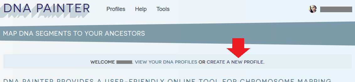 How to create a new profile on DNA Painter