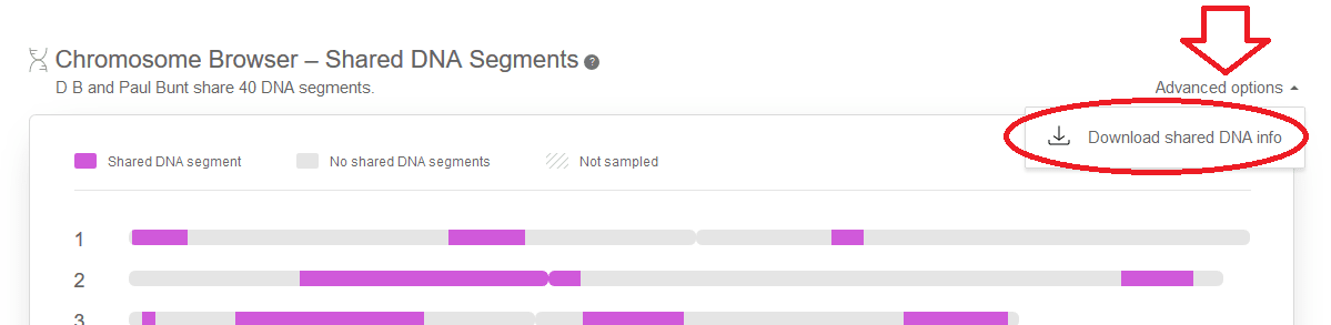 Chromosome information on My Heritage DNA