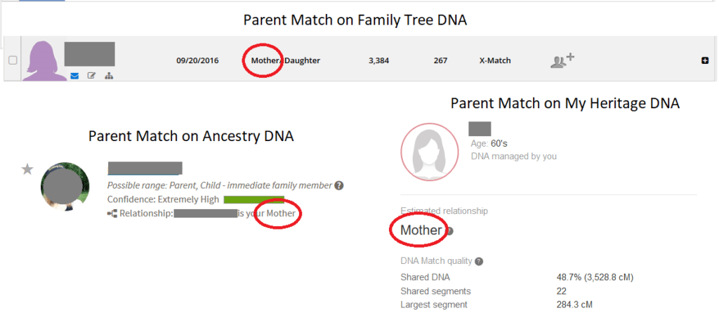 Example of parent DNA match across three testing companies, shows number of shared centimorgans for two sites