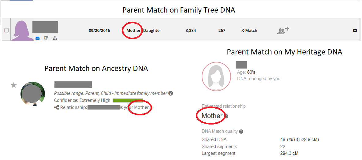 Example of parent child DNA match across three testing companies