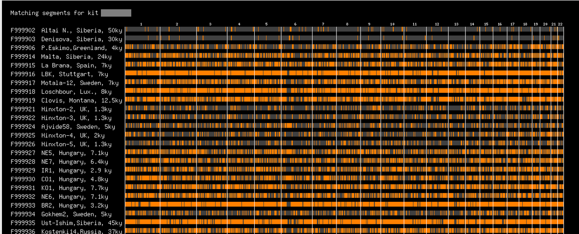 how to intrepret archaic dna matches on gedmatch