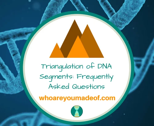 Triangulation of DNA Segments_ Frequently Asked Questions