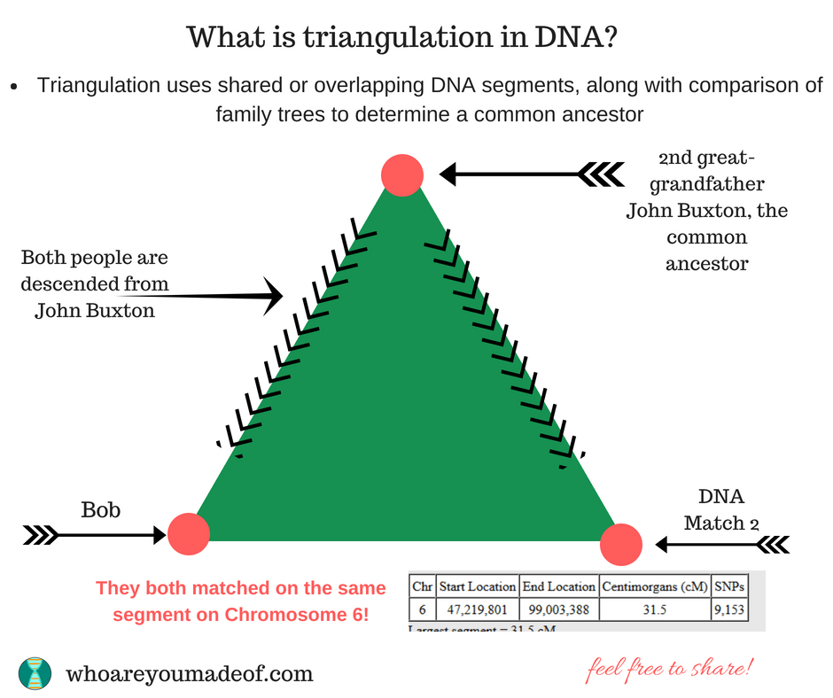 What does triangulation mean_