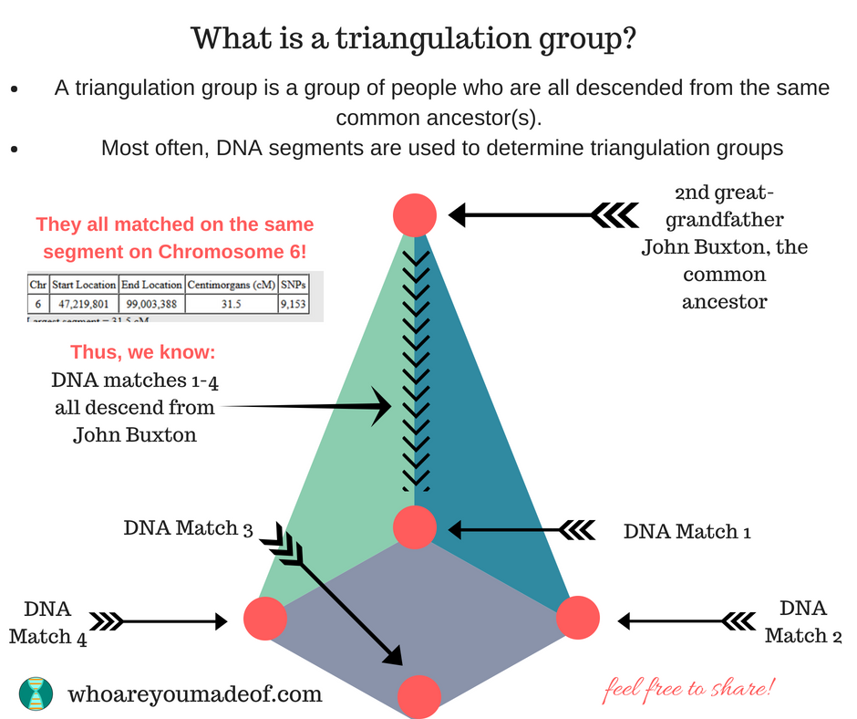 Triangulation of DNA Segments Frequently Asked Questions Who are You