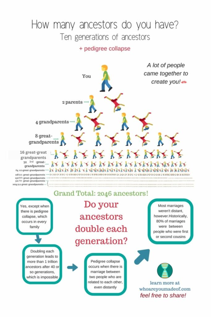 How many ancestors do you have in eight generations.  At the top, there is "you" shown by a graphic of a person walking.  Then, on each level of the graphic the number of people shown doubles.  There are two parents, four grandparents, eight great- grandparents, 16 2nd great-grandparents, 32 3rd great-grandparents, 64 4th great-grandparents, 128 5th great-grandparents, 256 6th great-grandparents, 512 7th great-grandparents, 1024 8th great-grandparents, with a total of 2046 total ancestors.  The further generations on the graphic are shown with very tiny graphics of people, to illustrate the large number of ancestors that we do have going back that number of generations.