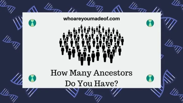 How Many Ancestors Do You Have