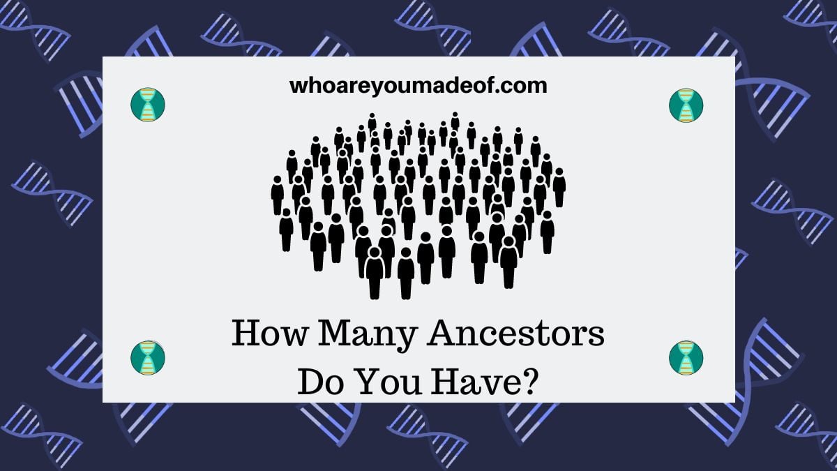 How Many Ancestors Do You Have