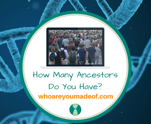 How Many Ancestors Do You Have_(1)