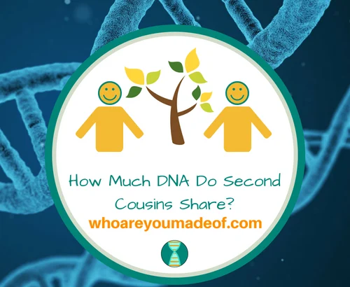 How Much DNA Do Second Cousins Share_