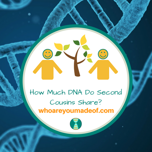 How Much DNA Do Second Cousins Share_