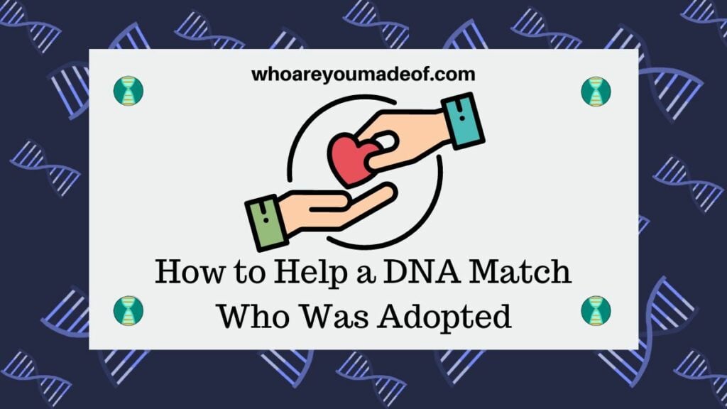 How to Help a DNA Match Who Was Adopted