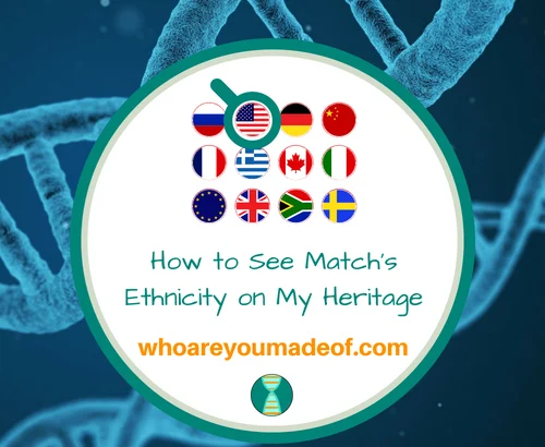 How to See Match's Ethnicity on My Heritage