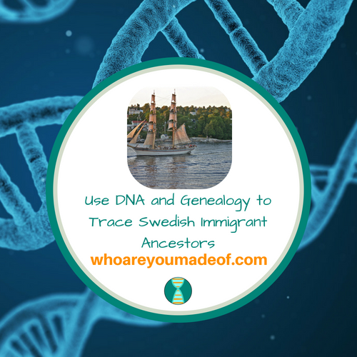 Use DNA and Genealogy to Trace Swedish Immigrant Ancestors