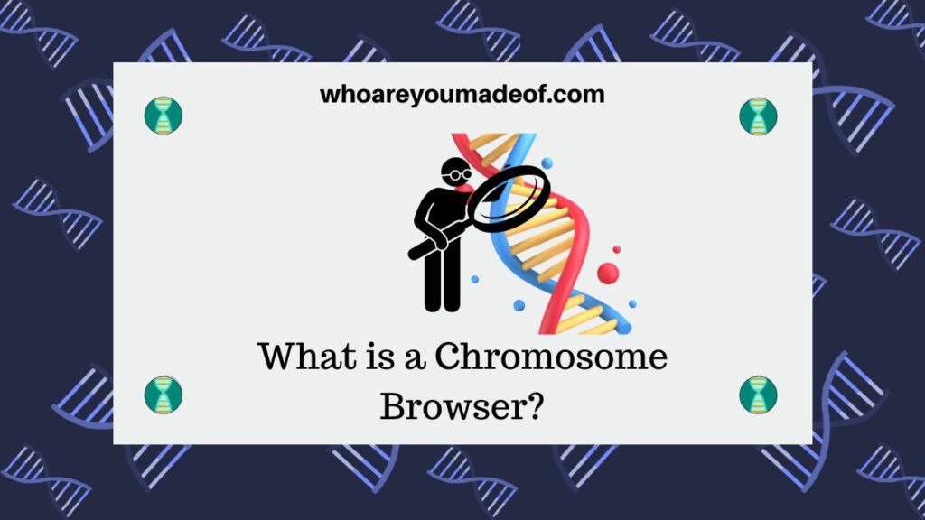 What is a Chromosome Browser?