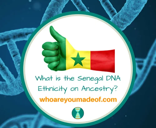 What is the Senegal DNA Ethnicity on Ancestry_