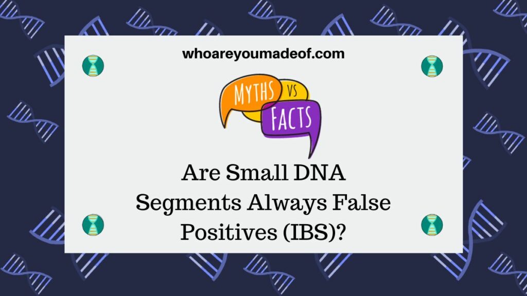 Are Small DNA Segments Always False Positives (IBS)?