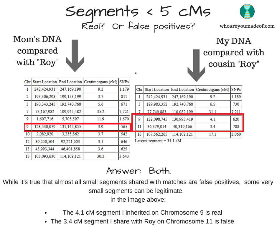 Very small legitimate and false positive DNA segments