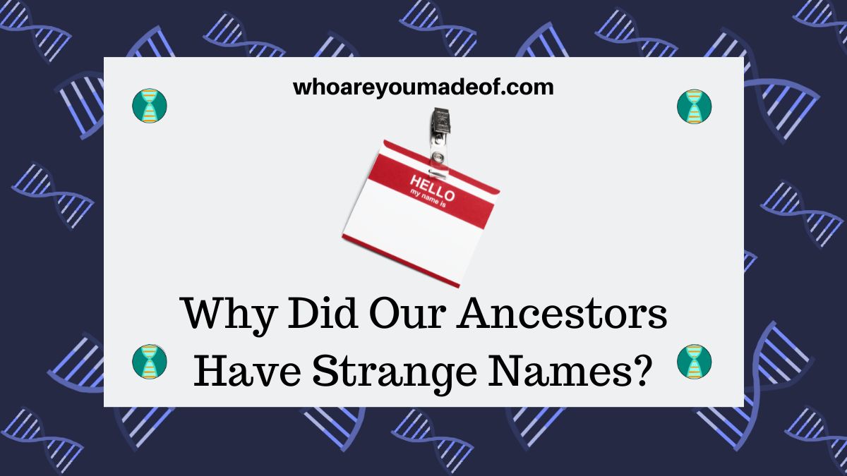 Why Did Our Ancestors Have Strange Names? Who are You Made Of?