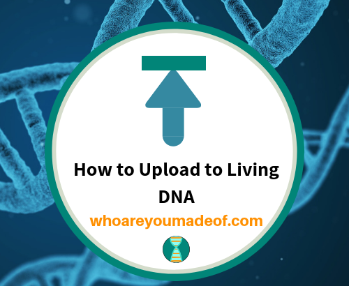 How to Upload to Living DNA