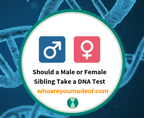 Should a Male or Female Sibling Take a DNA Test