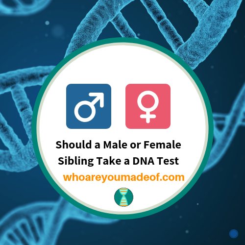 Should a Male or Female Sibling Take a DNA Test