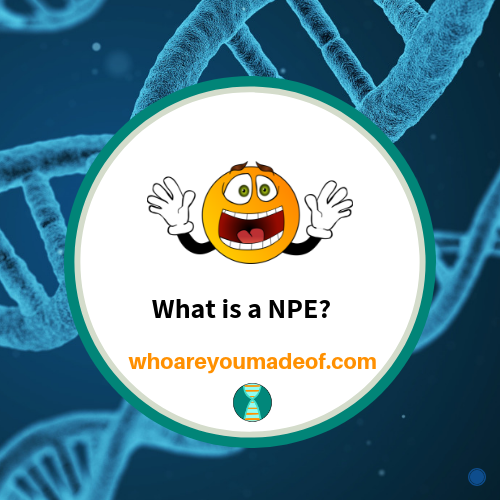 What is a NPE_