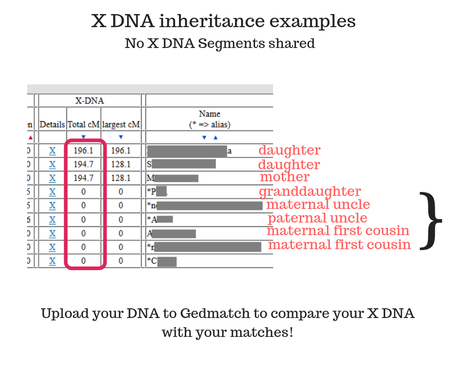 X DNA inheritance examples