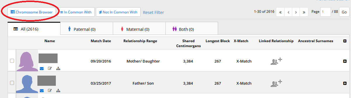 Access FTDNA chromosome browser from DNA match list