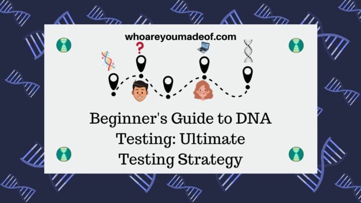 Beginner's Guide to DNA Testing Ultimate Testing Strategy