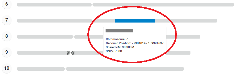 Example of segment shared on chromosome 7 family tree dna