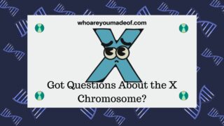 Got Questions About the X Chromosome