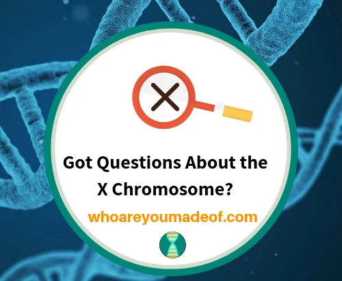 Got Questions About the X Chromosome_