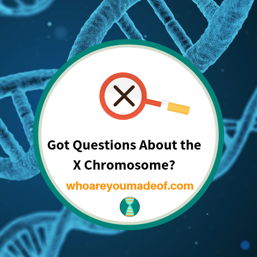 Got Questions About the X Chromosome_