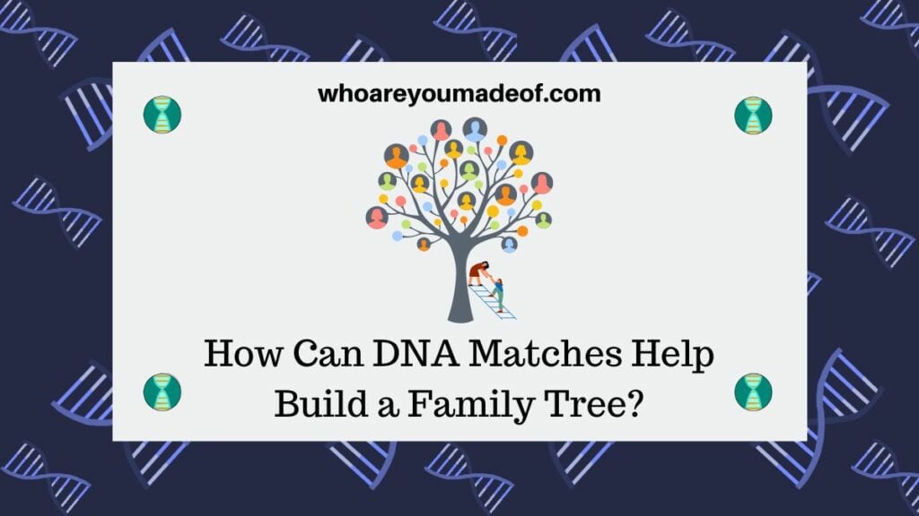 How Can DNA Matches Help Build a Family Tree?