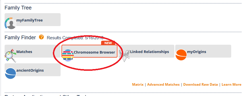 How to access the chromosome browser on FTDNA